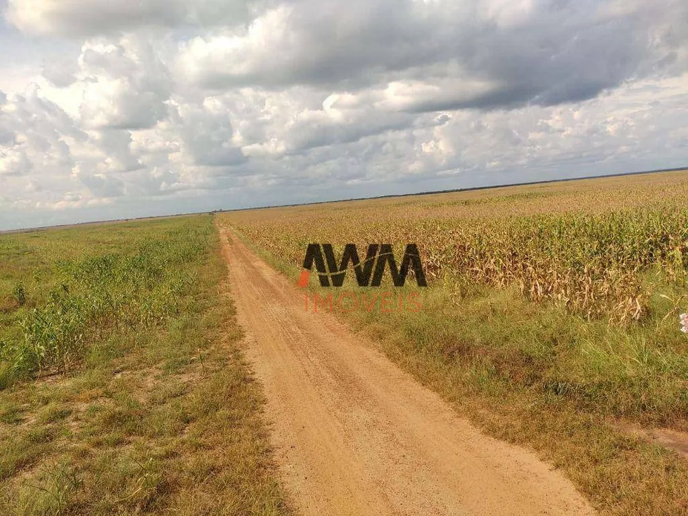 Fazenda, 16000 hectares - Foto 12