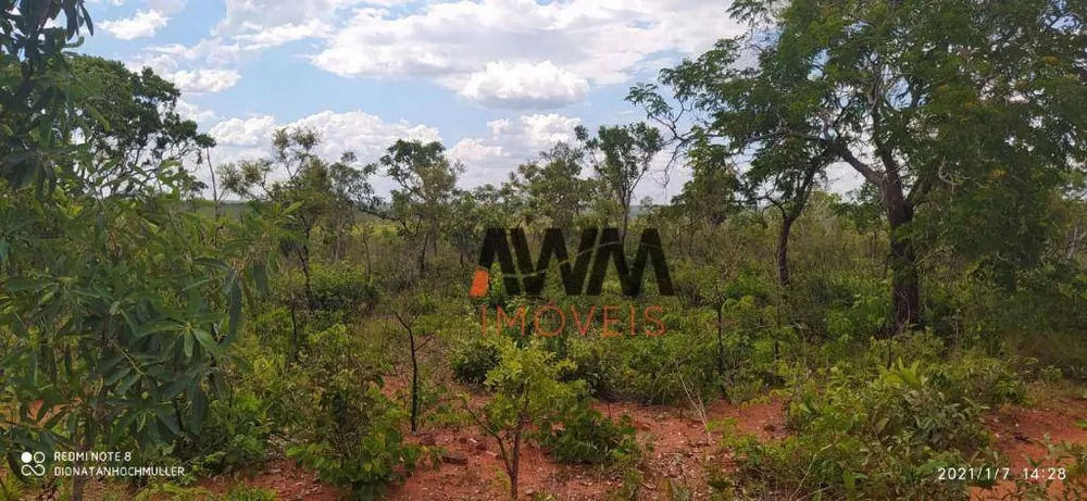 Fazenda, 11664 hectares - Foto 16
