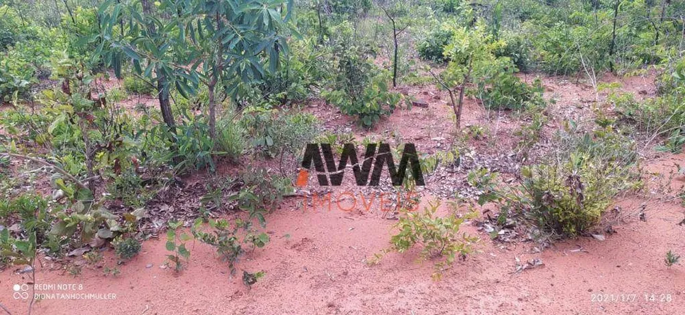 Fazenda, 11664 hectares - Foto 6