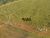 Fazenda, 17000 hectares - Foto 3