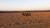 Fazenda, 17000 hectares - Foto 1