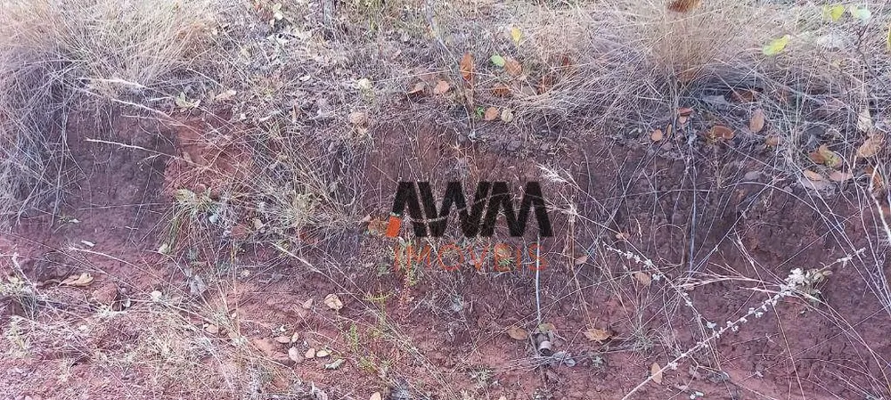 Fazenda, 11664 hectares - Foto 4