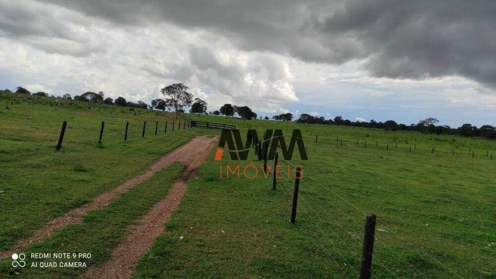 Fazenda, 774 hectares - Foto 8