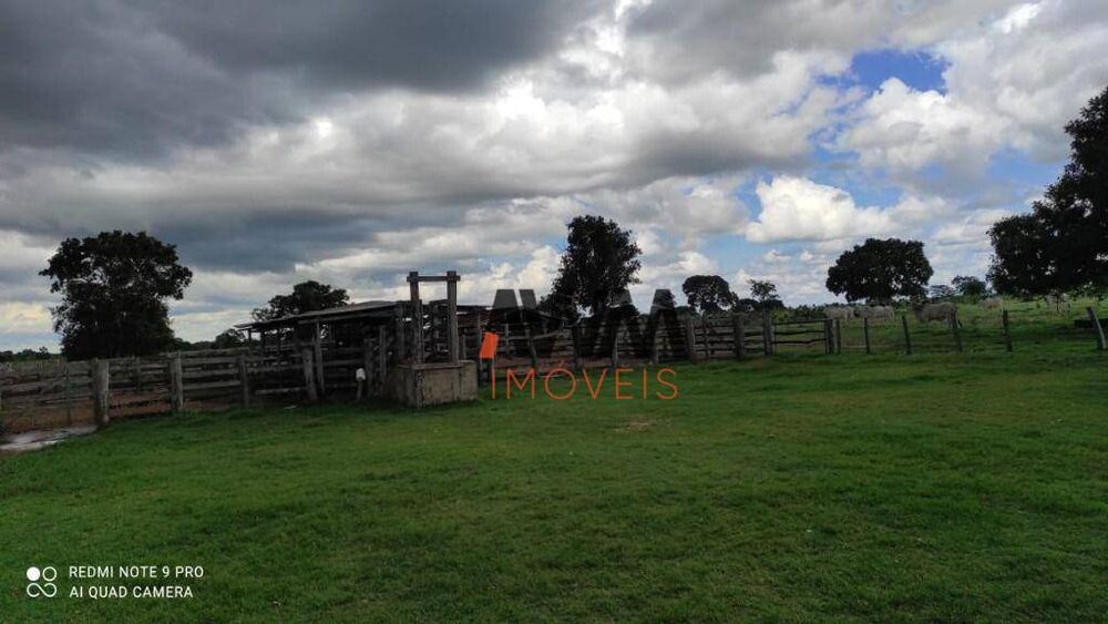 Fazenda, 774 hectares - Foto 3