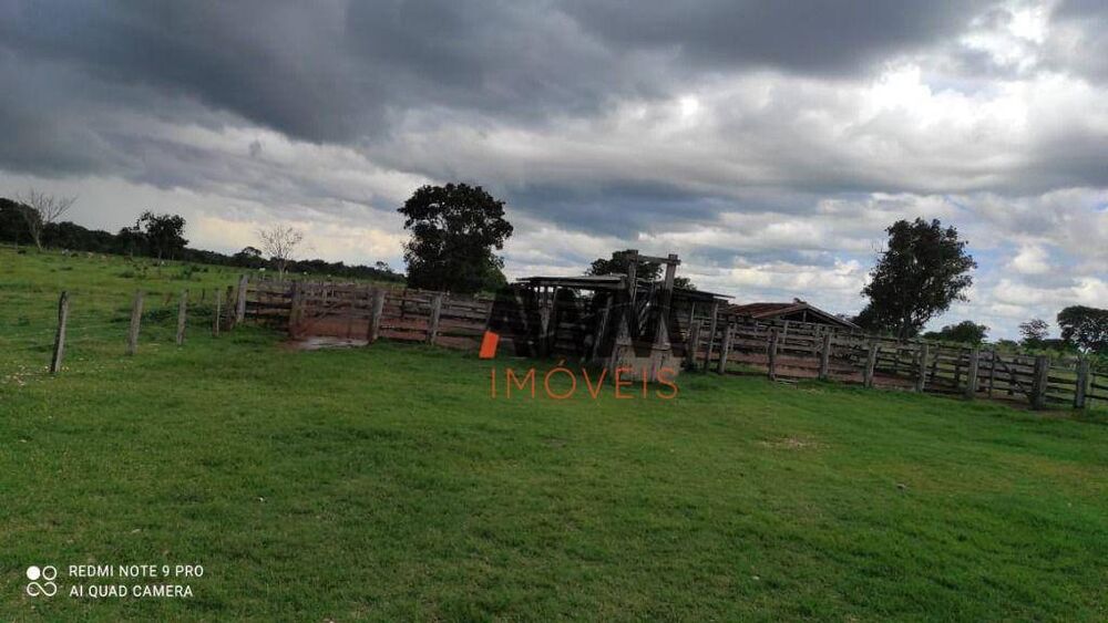 Fazenda, 774 hectares - Foto 5