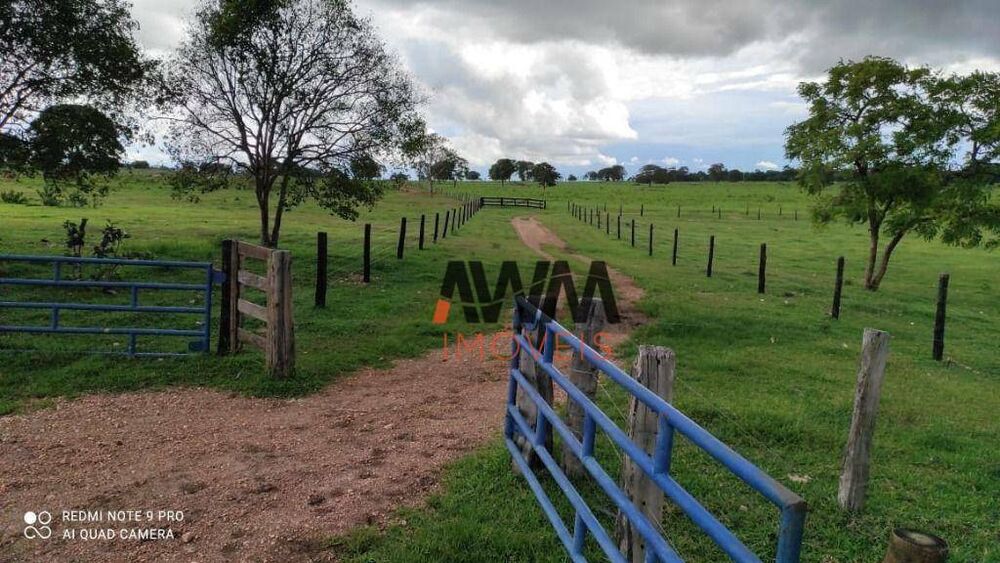 Fazenda, 774 hectares - Foto 2