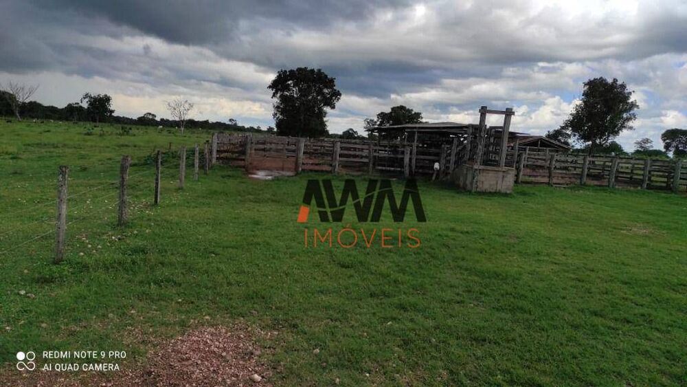 Fazenda, 774 hectares - Foto 6