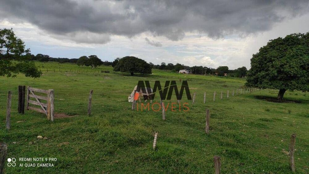 Fazenda, 774 hectares - Foto 1