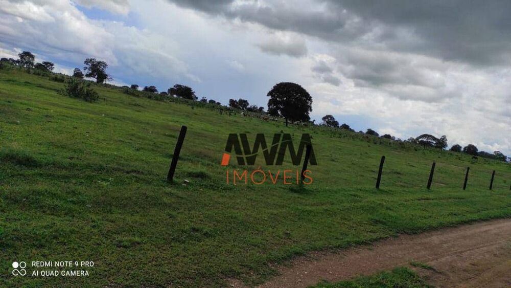 Fazenda, 774 hectares - Foto 9
