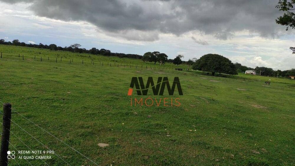 Fazenda, 774 hectares - Foto 4