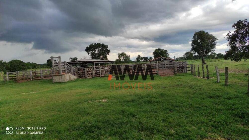 Fazenda, 774 hectares - Foto 7