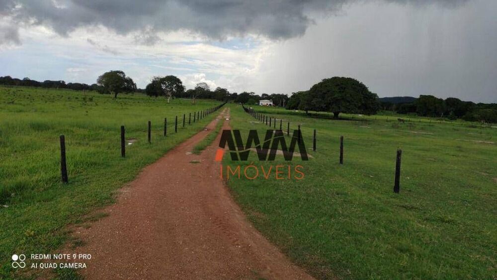 Fazenda, 774 hectares - Foto 10