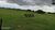 Fazenda-Sítio-Chácara, 774 hectares - Foto 4