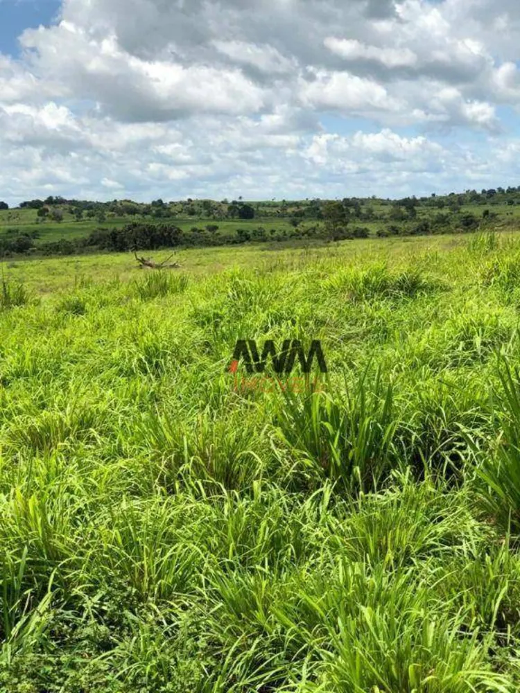 Fazenda, 5169 hectares - Foto 4
