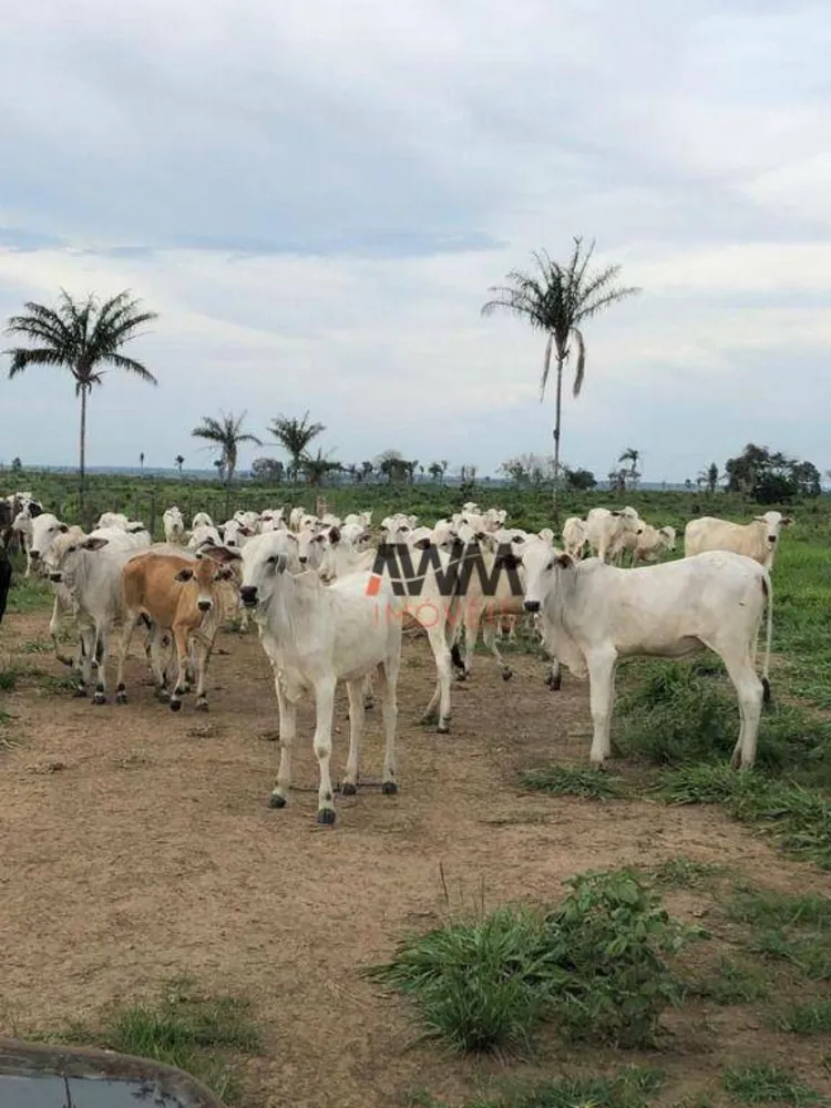 Fazenda, 5169 hectares - Foto 7