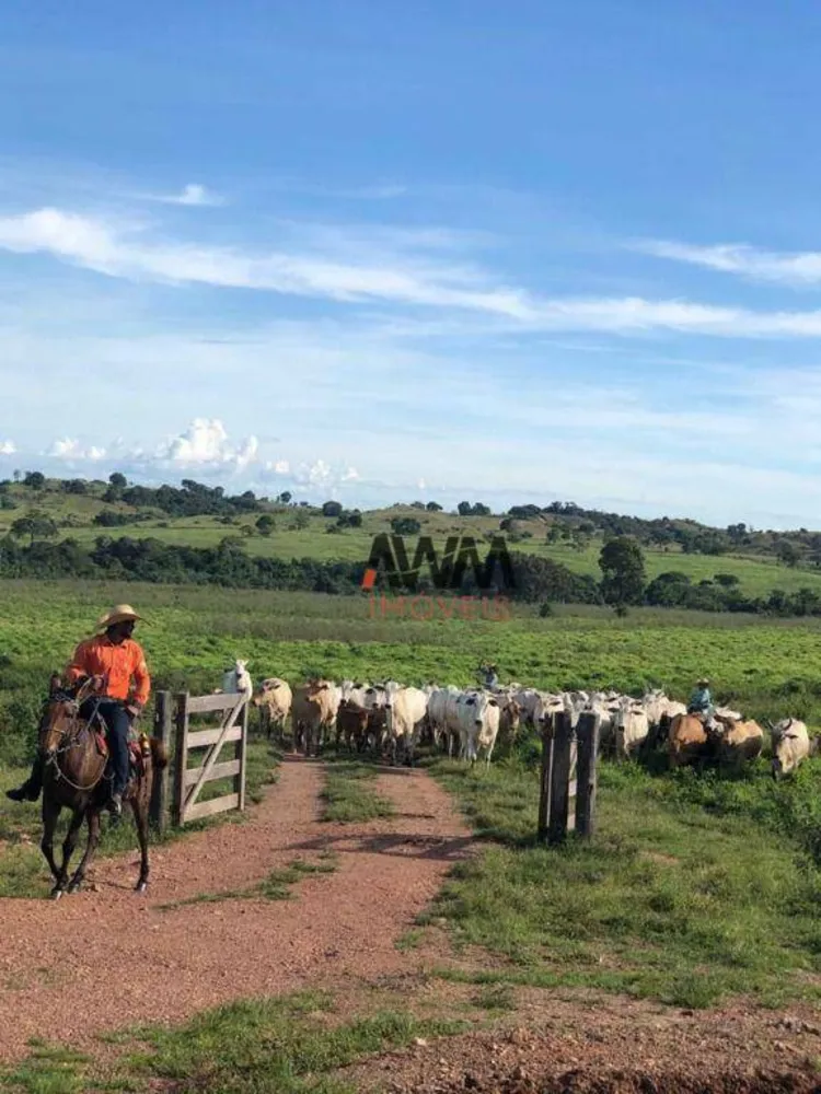 Fazenda, 5169 hectares - Foto 2