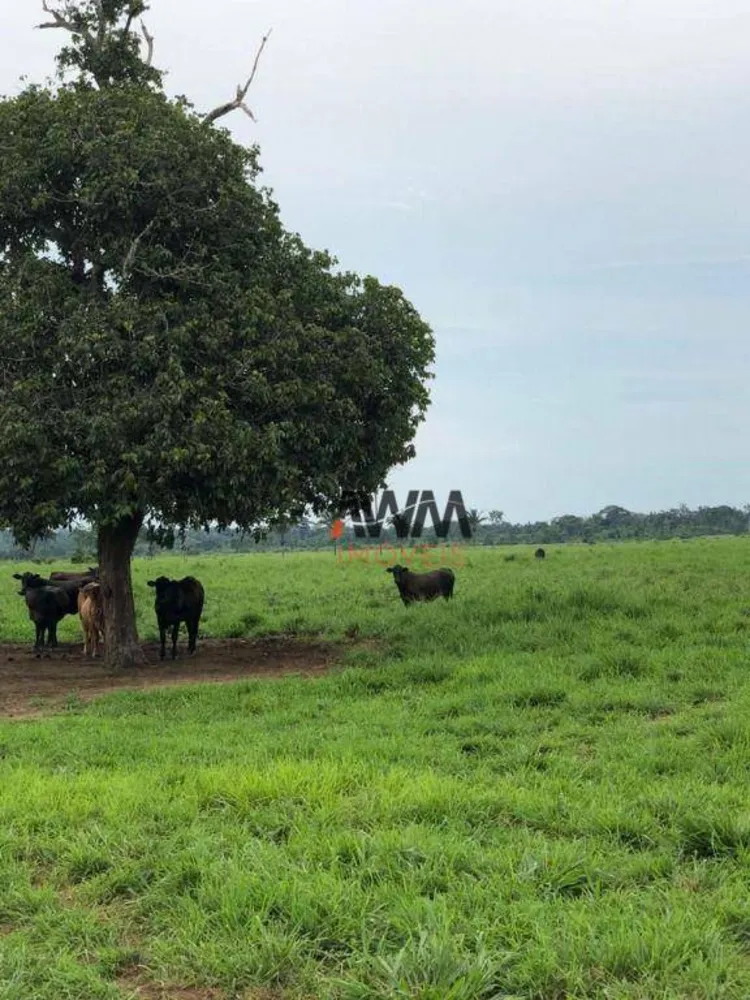 Fazenda, 5169 hectares - Foto 6