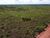 Fazenda, 760 hectares - Foto 4