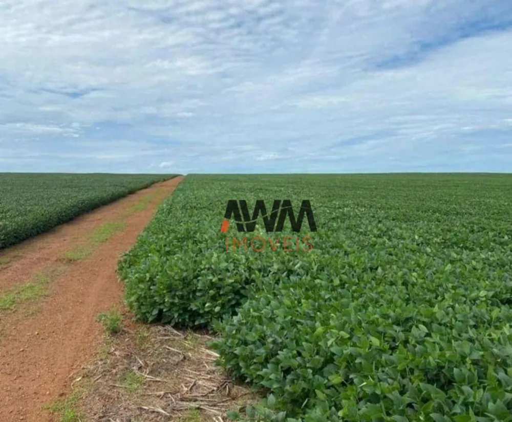 Fazenda, 6790 hectares - Foto 8
