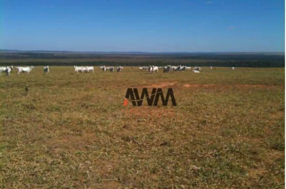 Fazenda, 6790 hectares - Foto 6