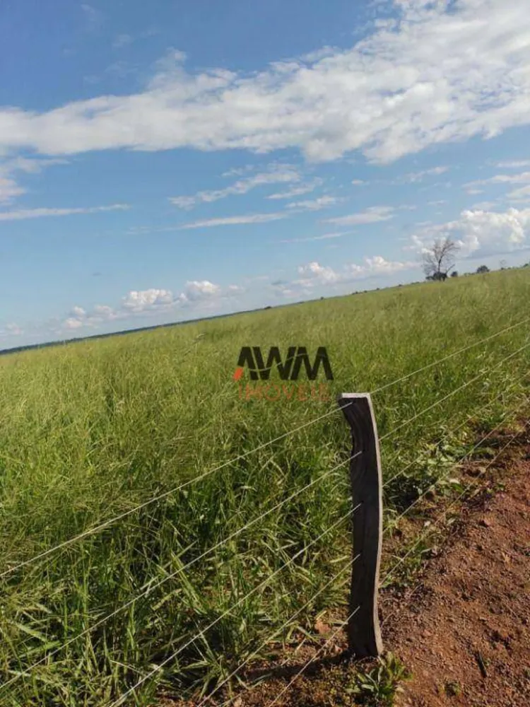 Fazenda, 3833 hectares - Foto 1