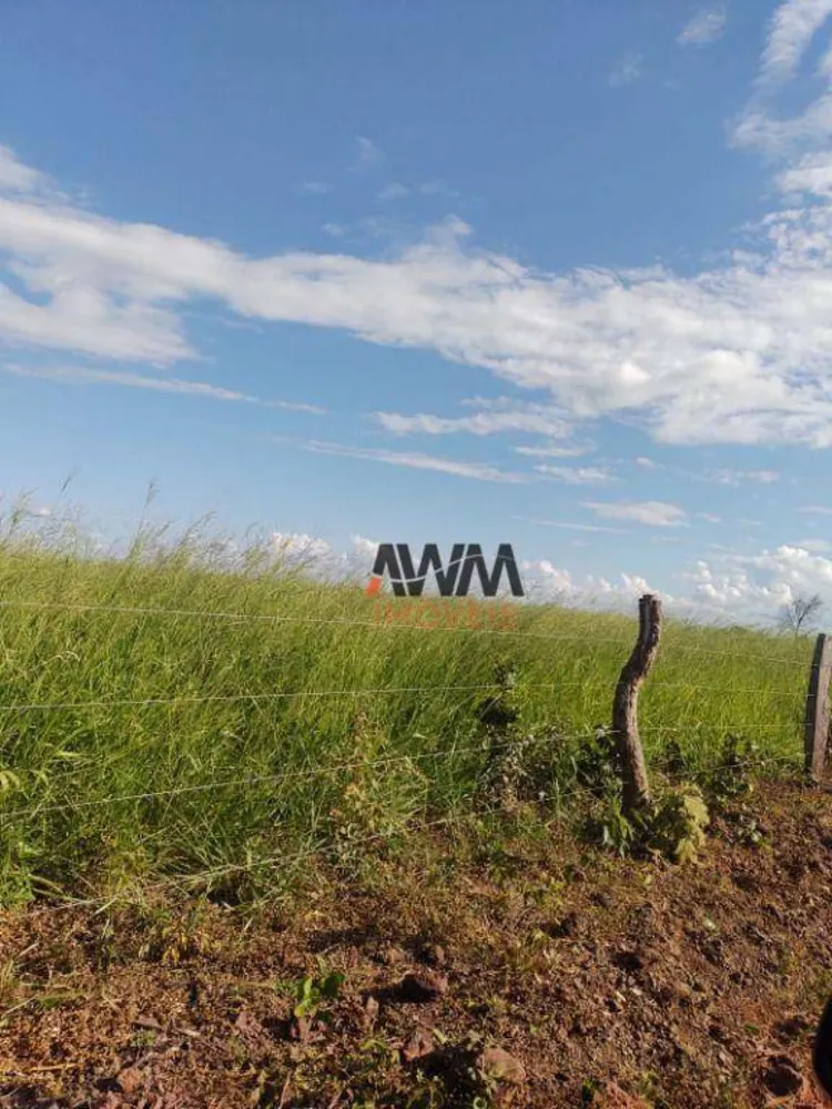 Fazenda, 3833 hectares - Foto 4