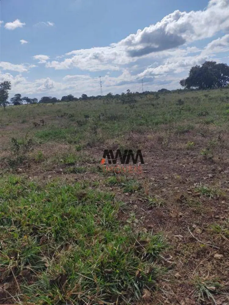 Fazenda, 3833 hectares - Foto 2
