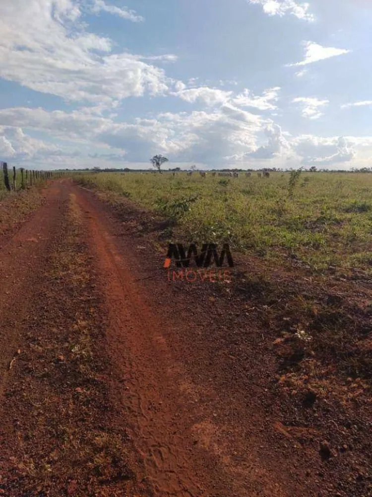Fazenda, 3833 hectares - Foto 3