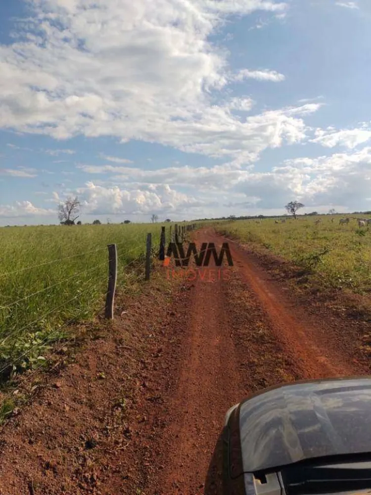 Fazenda, 3833 hectares - Foto 6