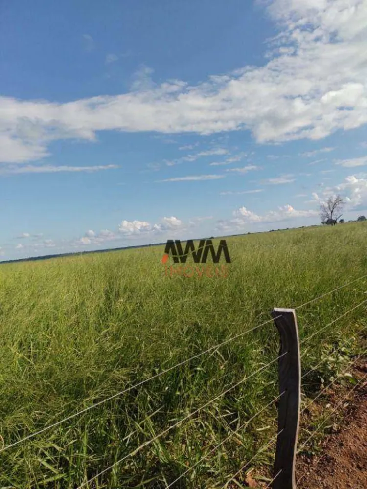 Fazenda, 3833 hectares - Foto 7