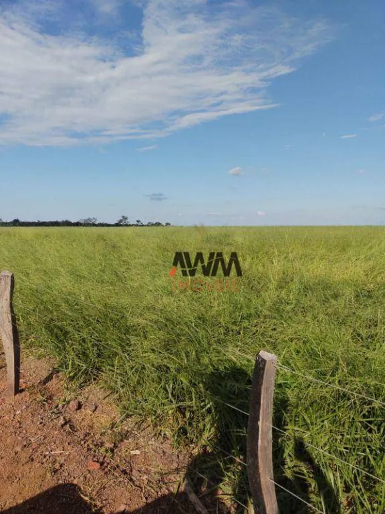 Fazenda, 3833 hectares - Foto 8