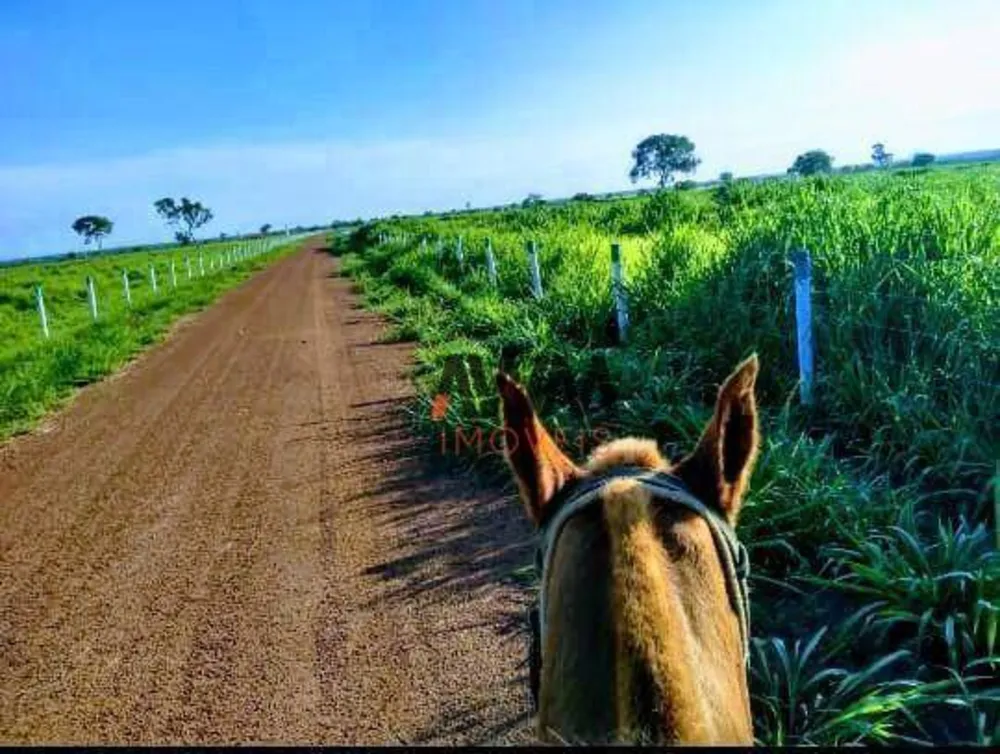 Fazenda, 1926 hectares - Foto 3