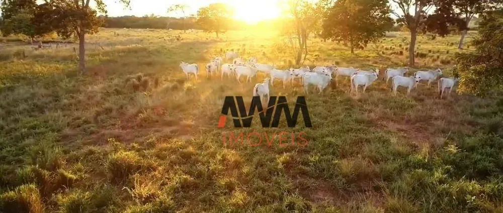 Fazenda, 13978 hectares - Foto 16