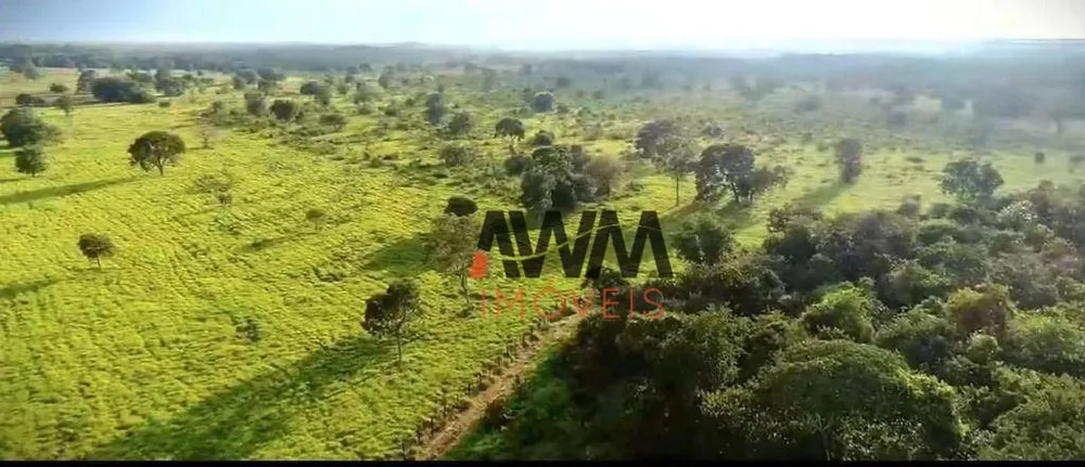 Fazenda, 13978 hectares - Foto 13