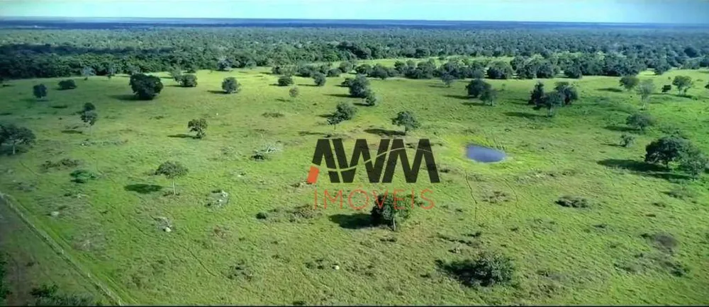 Fazenda, 13978 hectares - Foto 14