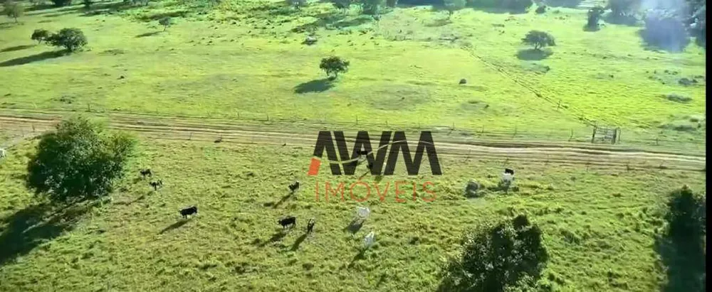Fazenda, 13978 hectares - Foto 8
