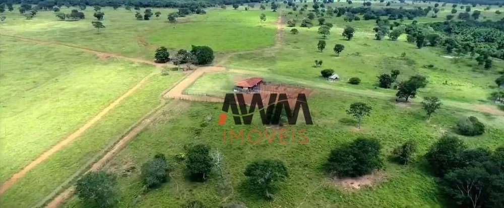 Fazenda, 13978 hectares - Foto 9