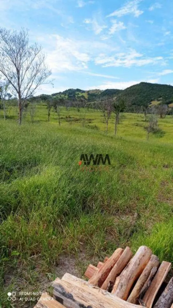 Fazenda, 244 hectares - Foto 11