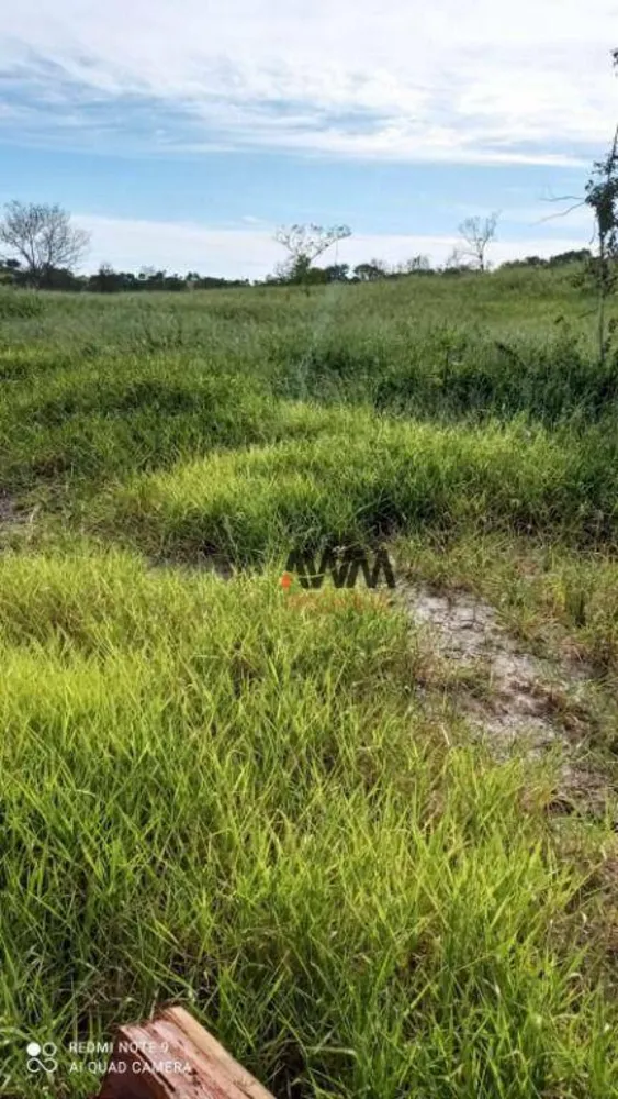 Fazenda, 244 hectares - Foto 7