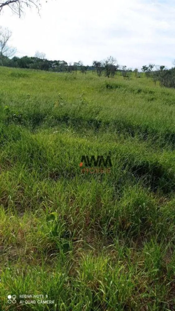 Fazenda, 244 hectares - Foto 8