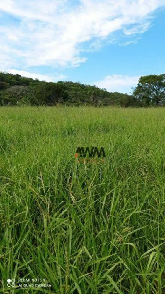 Fazenda, 244 hectares - Foto 6