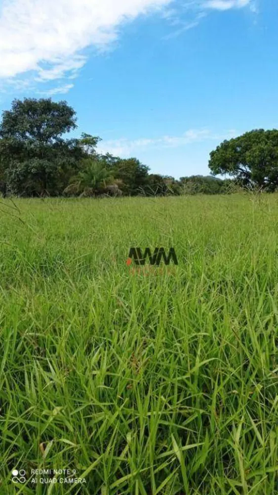 Fazenda, 244 hectares - Foto 1