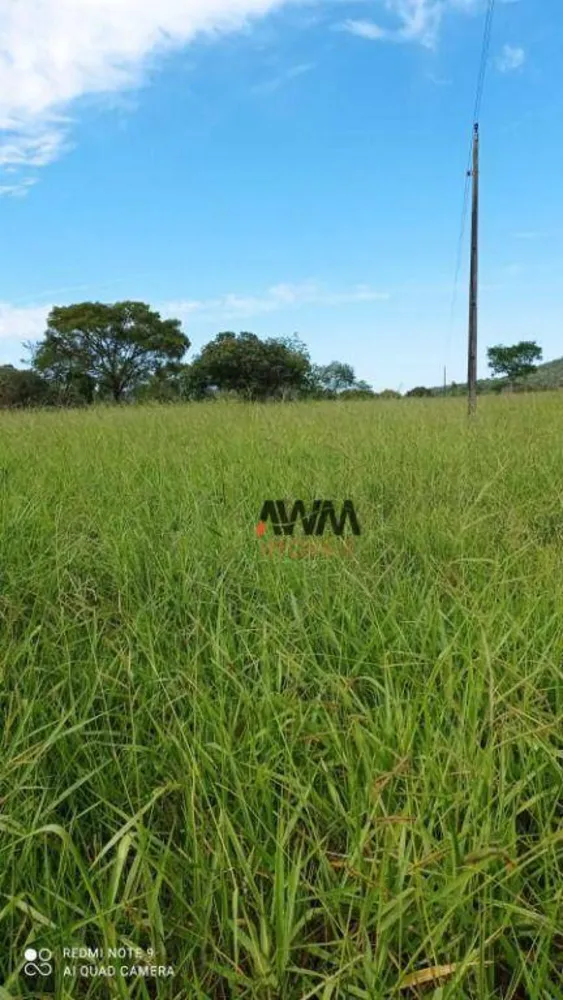 Fazenda, 244 hectares - Foto 3