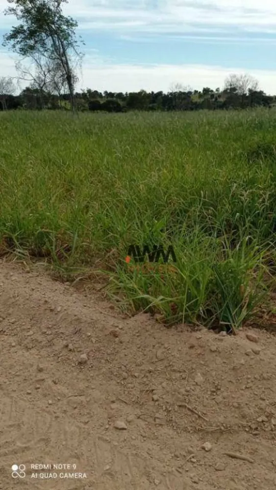Fazenda, 244 hectares - Foto 4