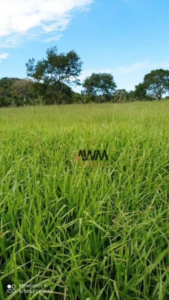 Fazenda, 244 hectares - Foto 10