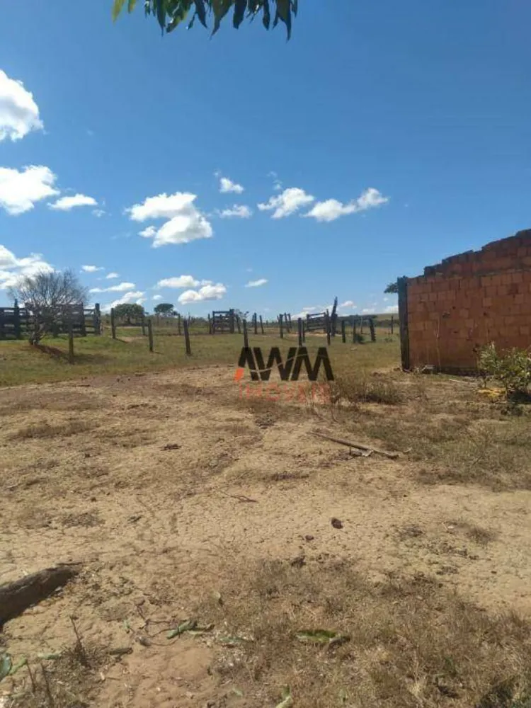 Fazenda, 396 hectares - Foto 6