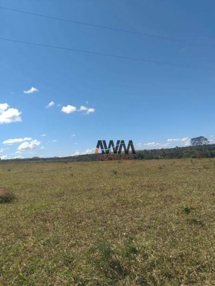 Fazenda, 396 hectares - Foto 5