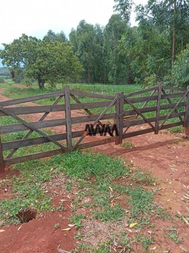 Fazenda, 396 hectares - Foto 10