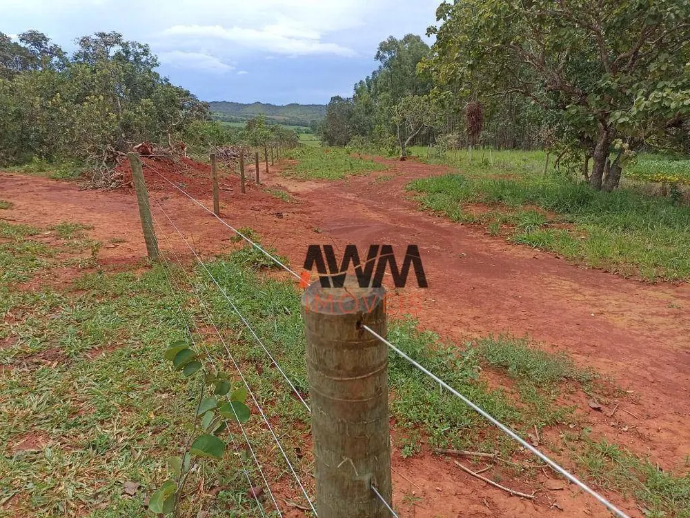 Fazenda, 396 hectares - Foto 12