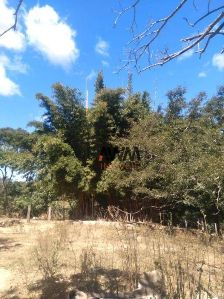 Fazenda, 396 hectares - Foto 4